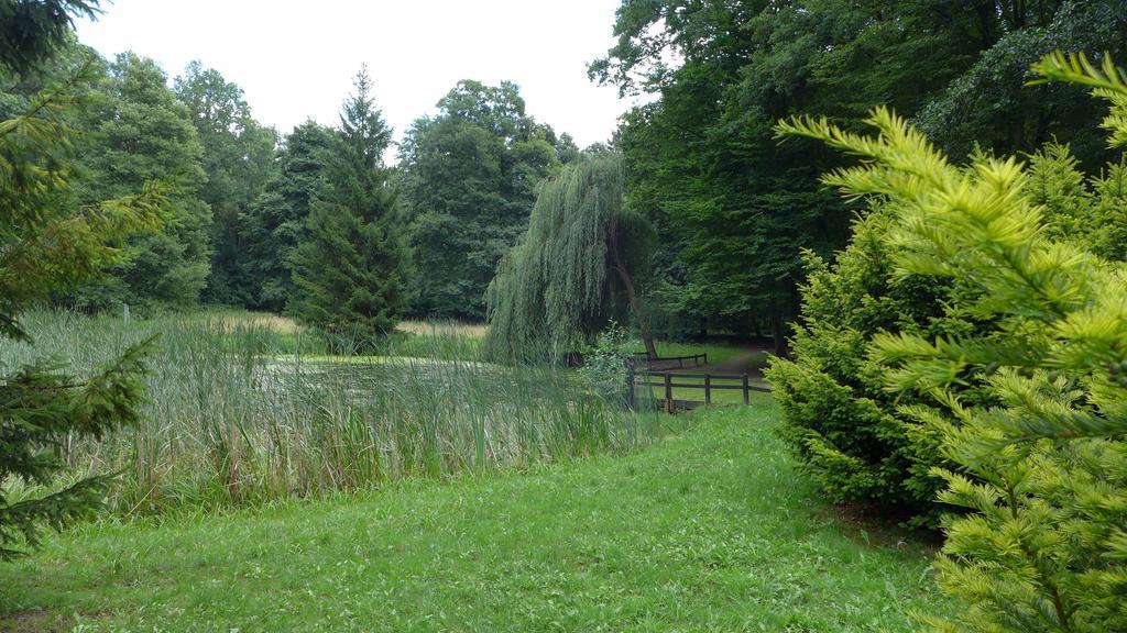 Ferienhaus Natura Neuruppin Room photo